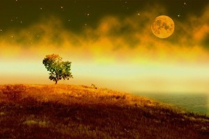 in-the-stillness-of-night-holly-kempe