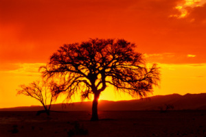 africasunrise