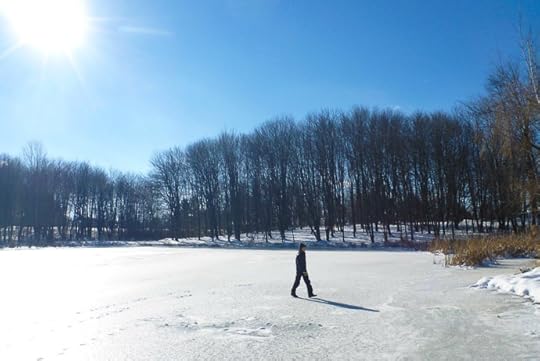 Frozen Lake one year ago -- Grandma and Grandpa's -- Rootstown, Ohio, United States -- Copyright 2013 Jeffrey Friedl, http://regex.info/blog/