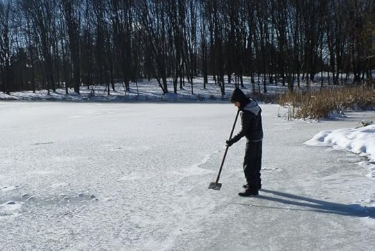 Ice Hockey sort of -- Grandma and Grandpa's -- Rootstown, Ohio, United States -- Copyright 2013 Jeffrey Friedl, http://regex.info/blog/