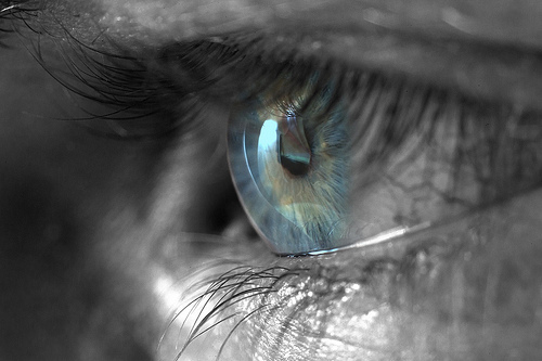 eye profile.jpg