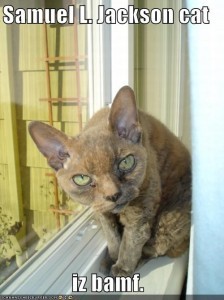 BAMF cat is not quite as much of a BAMF as Samuel L. Jackson, but he's trying so hard.