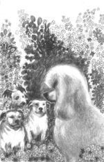 POD-Miss Merrie-blog size