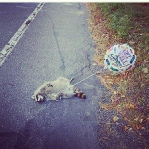 1464000_10151754111541927_1295007523_n