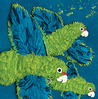 leeandlowparrots