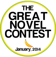 The Great Novel Contest