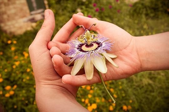 flower in hands