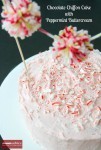 Chocolate Chiffon Cake with Peppermint Frosting