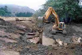 trees bulldozer