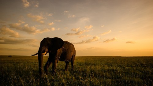 20140113-Kenya-1259