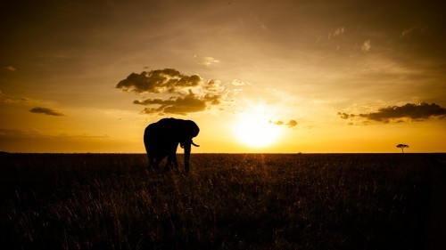 20140113-Kenya-1240