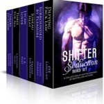 6 Bestselling Amira Press authors in one, awesome set!