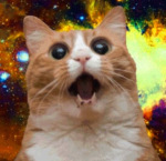 catcatsmall