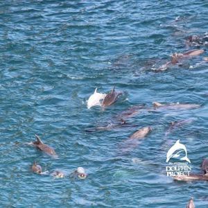 Taiji 1