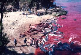 Taiji 2