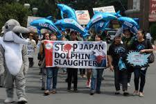 Taiji 3