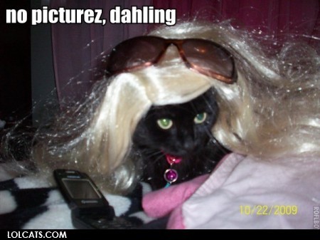 lolcats