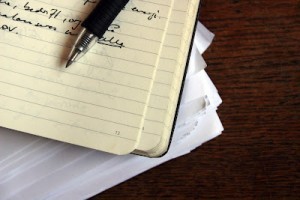 writingfreeSofiaWren