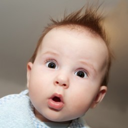 Wha, wha, what!!??