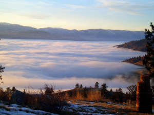 Lapping waves of fog