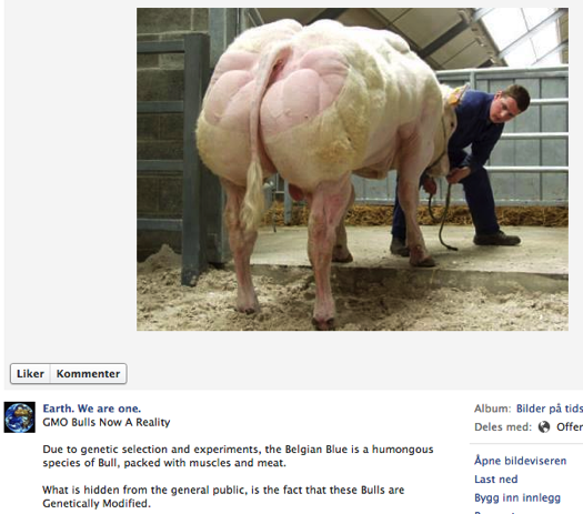 Screenshot 2014 01 13 12 08 03