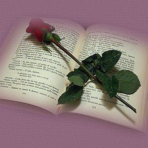 rose book
