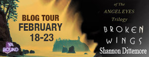 Broken Wings Blog Tour Banner