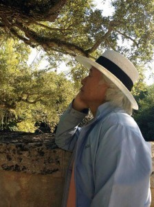 Ilchi Lee - Vizcaya Museum Gardens