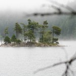 peter's foggy island