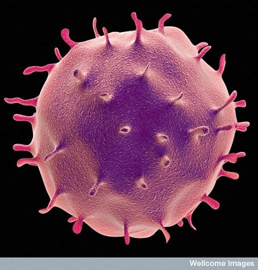 T cell. Wellcome Institute. http://www.flickr.com/photos/wellcomeimages/6941347465/