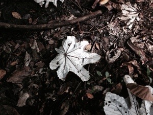 20140108-213154.jpg