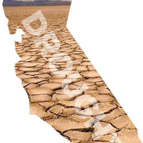 Drought in California | The Silver Pen