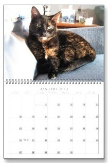 January