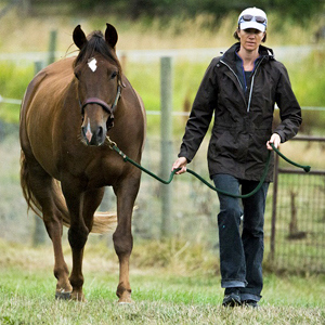 Susannah walking Apollo cropped