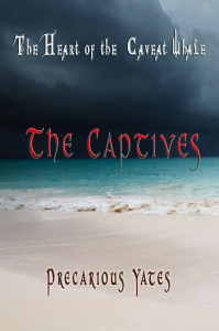 Kindle cover storm 1 The Captives copy