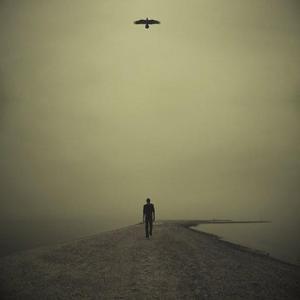 birdandman
