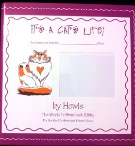 It's a Cat's Life