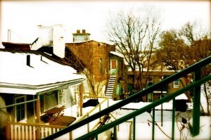 Winter
