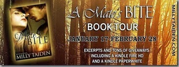 Blog Tour AMB