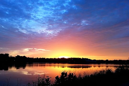 Diet is a Four-Letter Word (Albion Fit Giveaway) via FoodforMyFamily.com