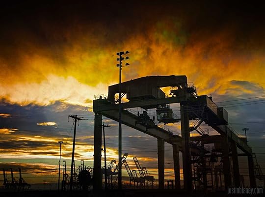 Cranes-#1-Photography-by-Justin-Blaney