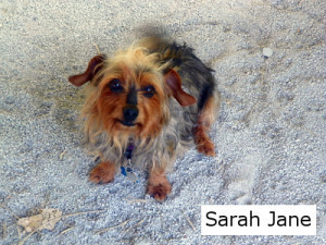 Sarah Jane