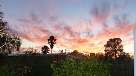Backyard sunset