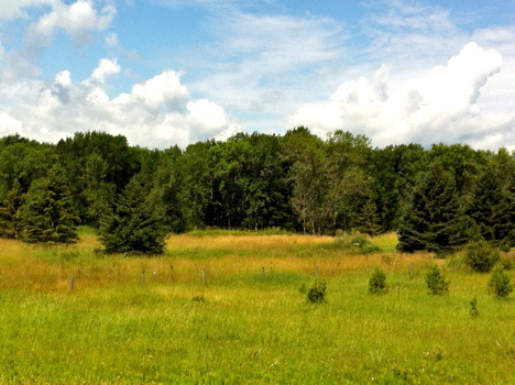 Looks like a painting, but it's the view from the classroom at Madeline Island School of Arts