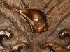 Patterns-of-beauty-flow-out-the-chaos