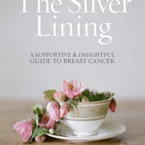 The Silver Lining Book | The Silver Pen