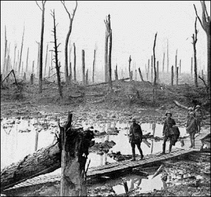  photo Flanders_zpsaadc67dd.jpg