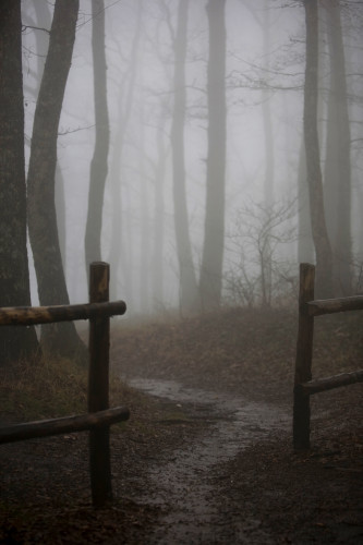 http://www.dreamstime.com/-image7790930