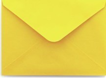 Yellow Envelope