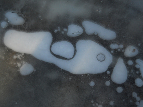 ice ameba